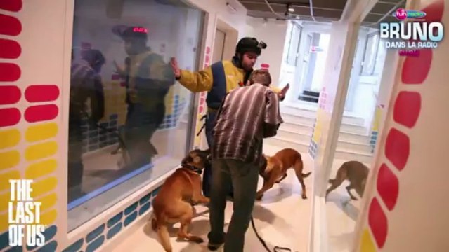 Le défi d'Elliot - Résister à l'attaque de chiens enragés