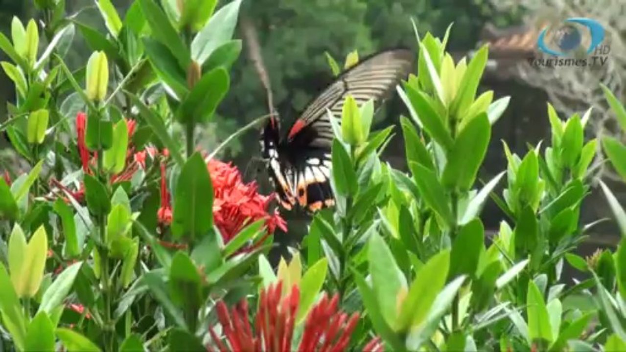 Un coin du monde en 80s Hué par tourismes.tv