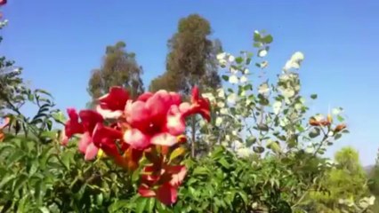 La spiaggia sarda di Posada al primo posto di Guida Blu di Legambiente e del Touring Club