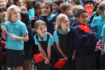 The Stream - Cultural chameleons