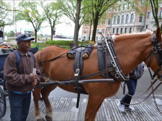 Vacances Québec 2013