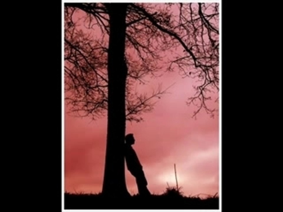 le fabuleux destin d'adeline poulain