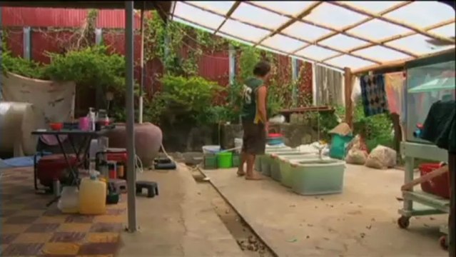 El medi ambient - Mosaic 07/06/13