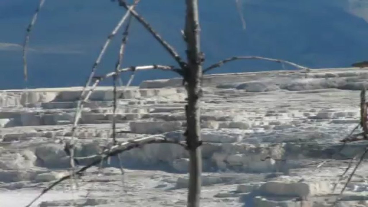 mammoth hot springs aout 2012