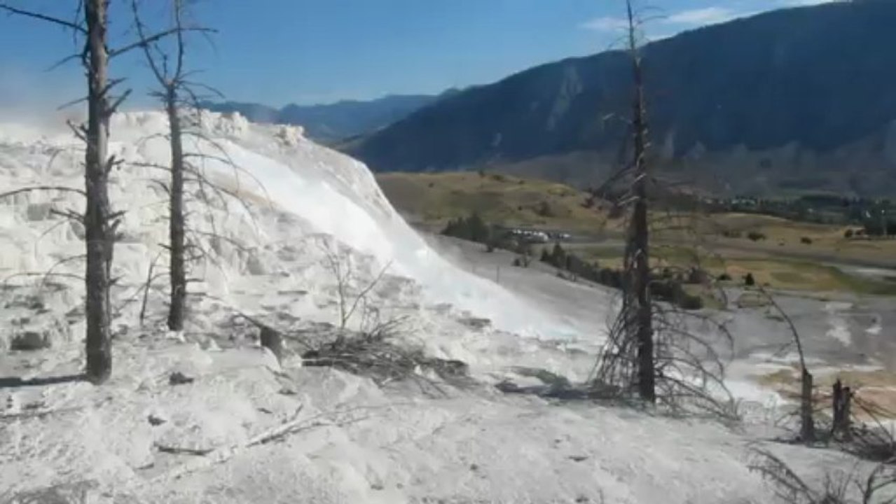 mammoth hot springs  2 aout 2012