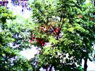 POPPING OUT (first chapter)