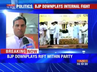 BJP downplays rift within party