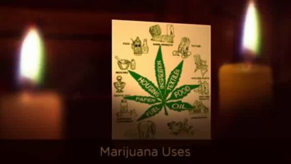 Marijuana And Its Uses