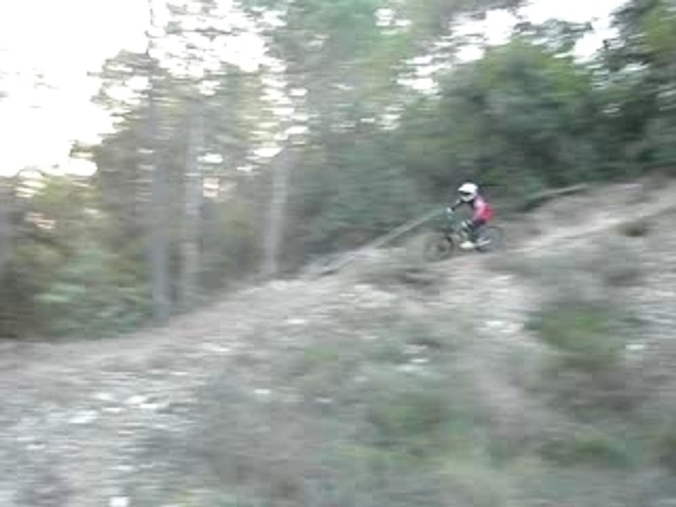 Dan2