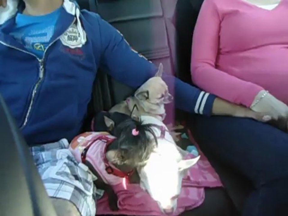 en voiture