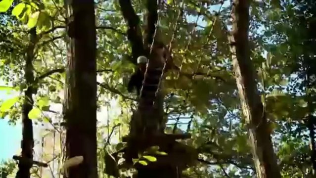 TV3 - L'aprenent - Guia d'activitats de muntanya i esports d'aventura