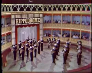 Men boxing with kangaroo - Must watch