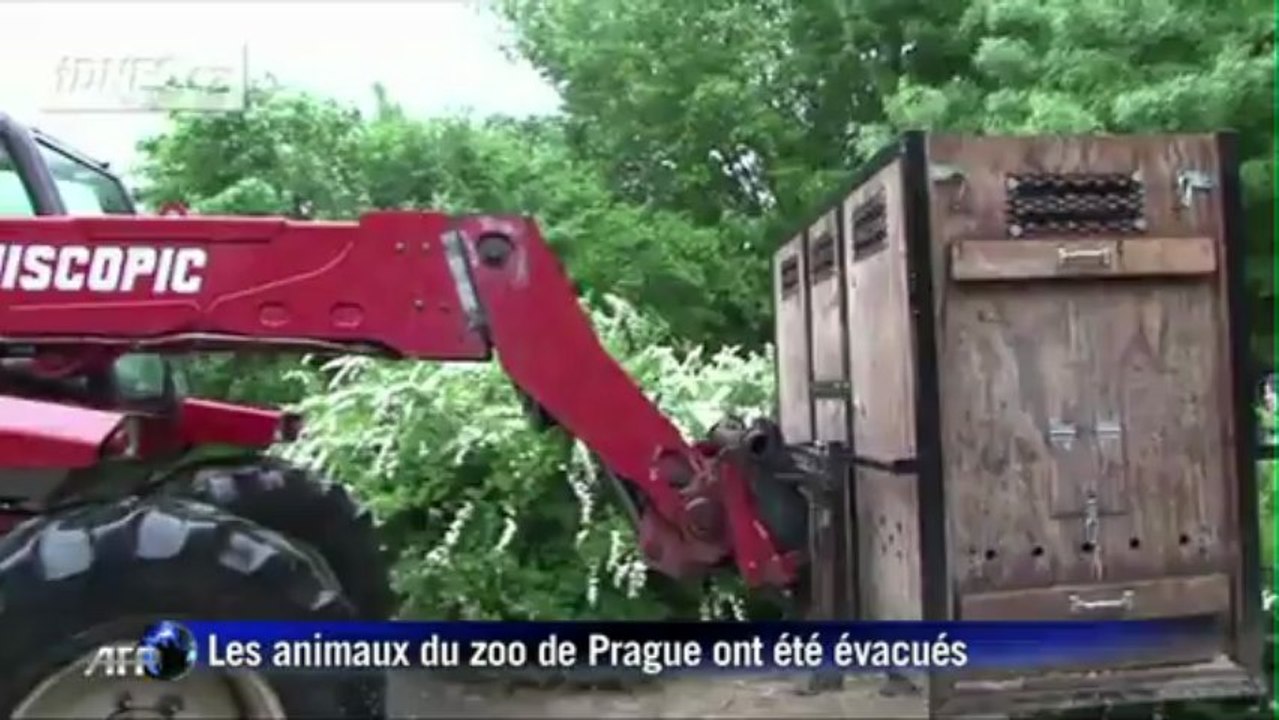 Inondations en République tchèque: au 5 morts