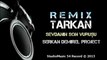 Tarkan - Sevdanın Son Vuruşu (Remix) Serkan Demirel Project