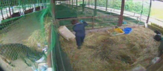 20130531　もじゃさん　ちび太君