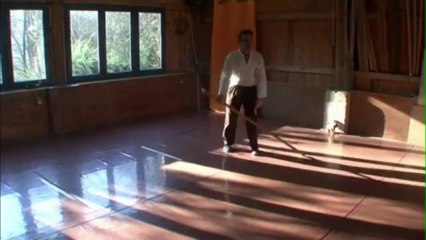 PMD-Présence-Mobilité-Danse présentation générale