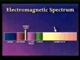 Microwave Phone Radiation, Cell Phone Radiation Shield