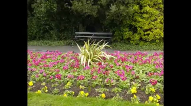 Lfs yol ve çim yaması indir | onlinehile.pro