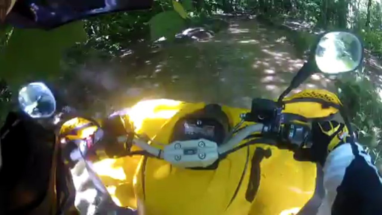 Sortie 2 Juin 2013 .. première partie