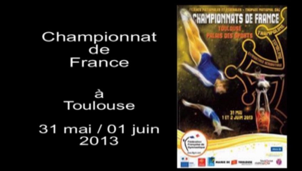 Finale Trampoline 2013 06 01 - Championnat de France à Toulouse