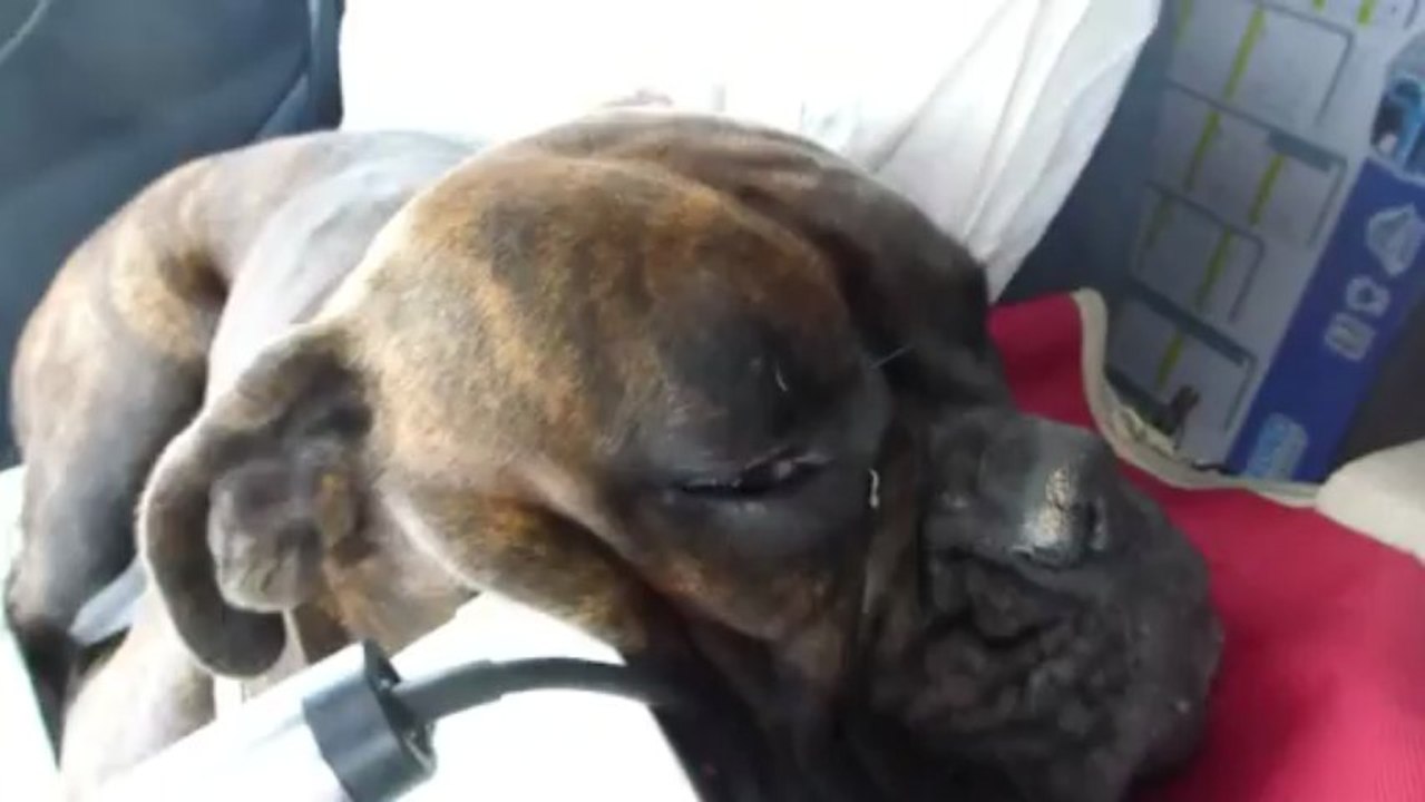 HADESSE dort dans mon camion !