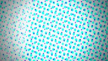 heat's twitter awards: The Winner's Show