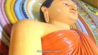 Buddha -  Veneration