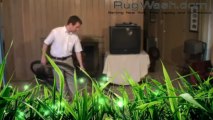 Rug Carpet Cleaning Rumson New Jersey (NJ 07760) By Rug Wash