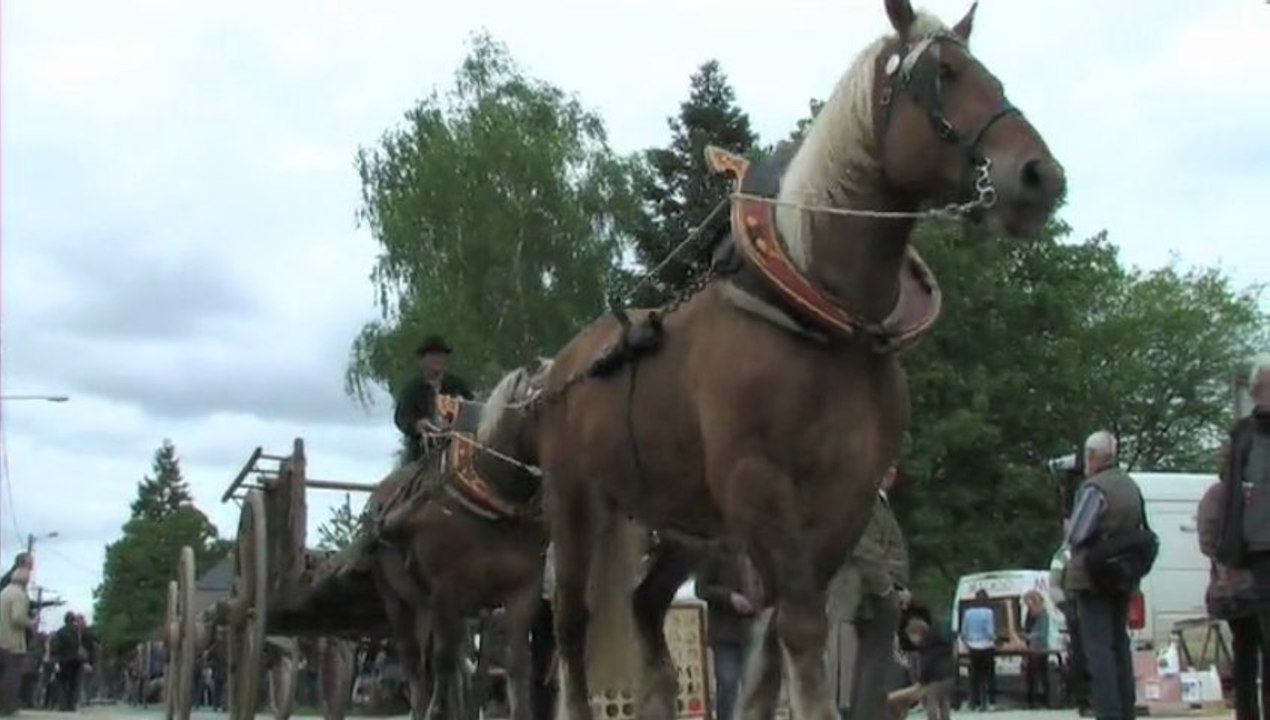 Fête du bois à Méry es bois 2013