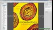Microbiology An Introduction pdf Tortora Ebook Free Download