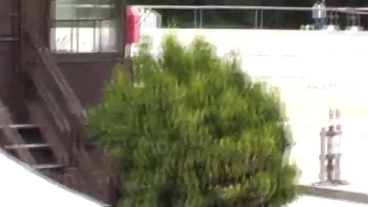 Villeneuve Loubet 1.06.2013