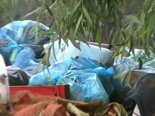 5 HAZİRAN  DÜNYA ÇEVRE GÜNÜ