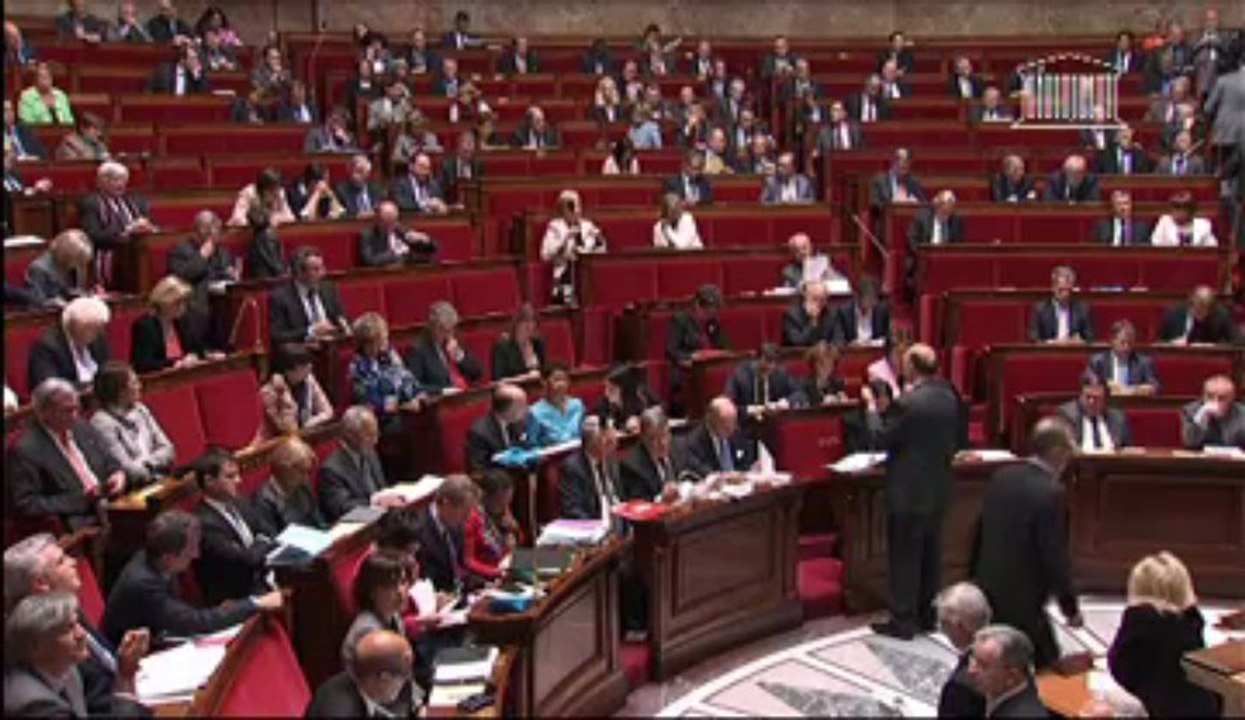 Initiative européenne sur l'emploi des jeunes : réponse de Pierre Moscovici à Christophe Castaner [29 mai 2013]