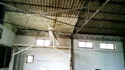 tavuk çiftliği poliüretan sprey köpük izolasyon www.birpol.com