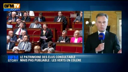 Download Video: BFM STORY: Le patrimoine des élus consultable mais pas publiable, les verts en colère - 04/06