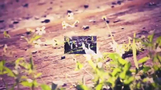 Shakespear - Mi Nuh Thro Wud (Official Video) Produced by Caben 7 Records