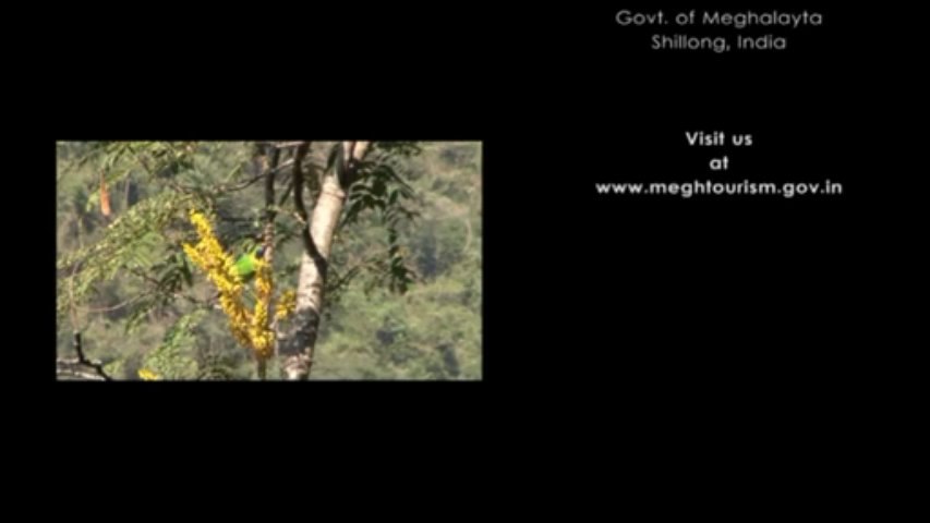 Meghalaya Tourism