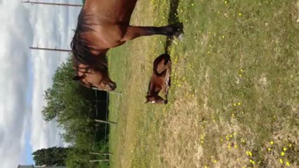 02.06.2013.zzzx.dipti