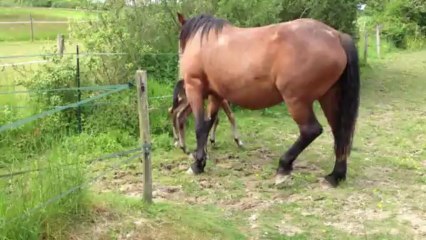 02.06.2013.zzzza.dipti