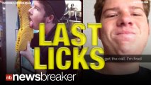 LAST LICKS: Taco Bell Shell Licker in Viral Pic About to Be Fired