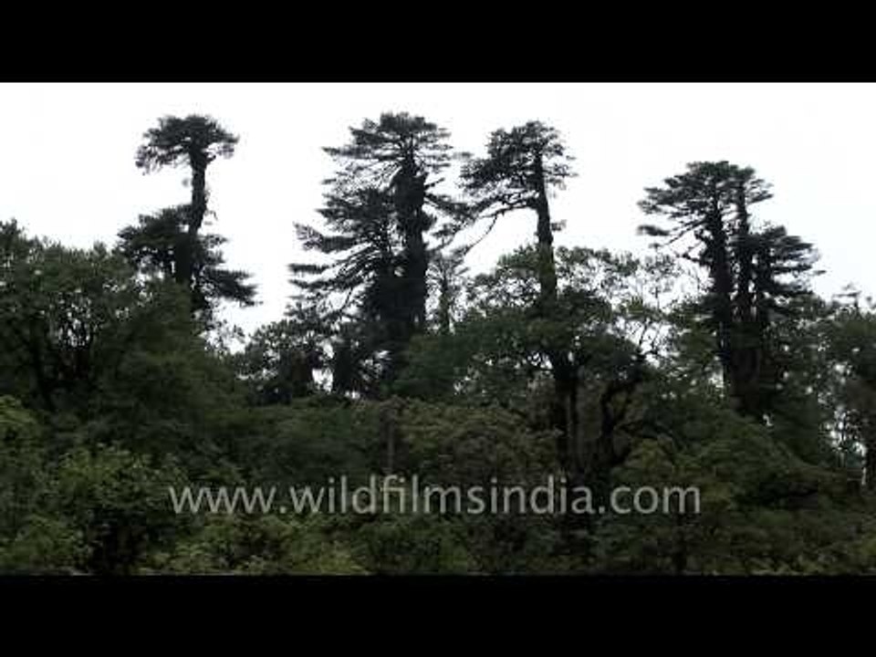 People performing the religious ceremony beside the Chorten or Stupa in Bhutan