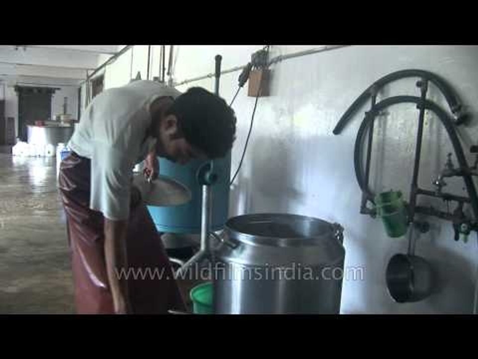 Bhutanese demonstrates the brewing process for beer making in Bhutan