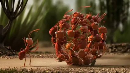 Dean Scheu - The Power of Teamwork - Funny- Dean Scheu