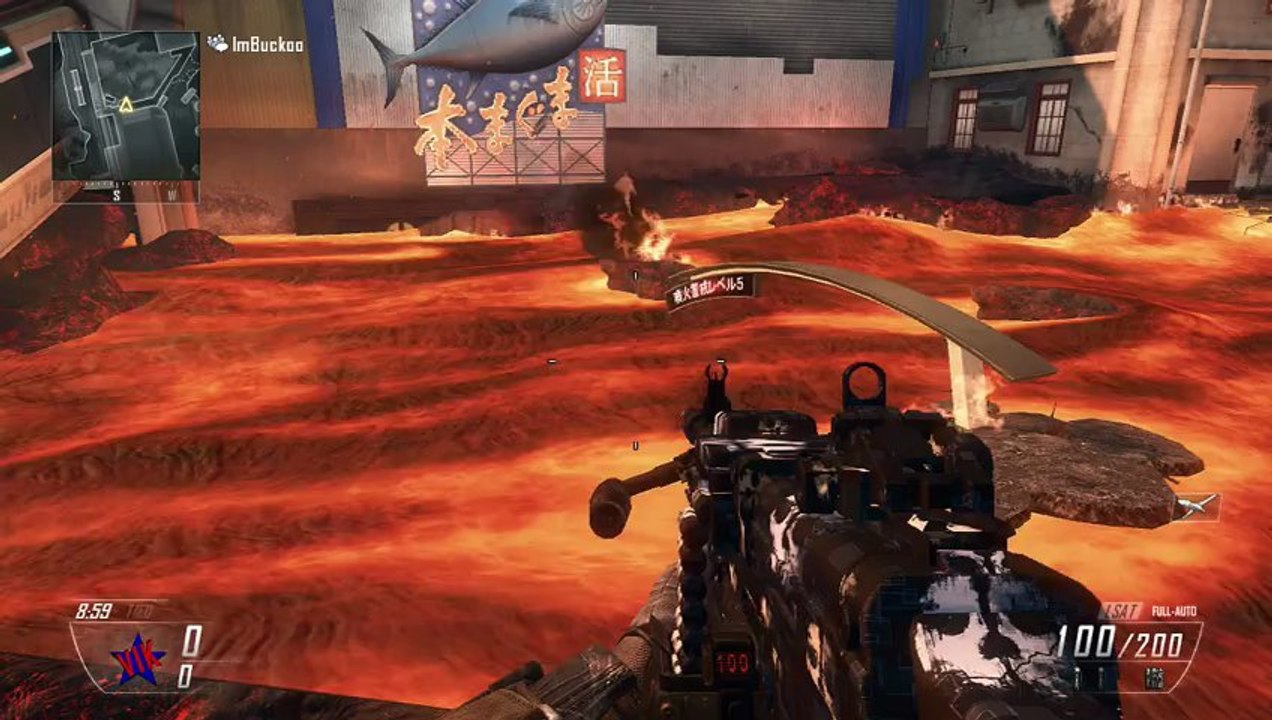 Black Ops 2 GHOSTS Camo on All Weapons - Ghost Camo