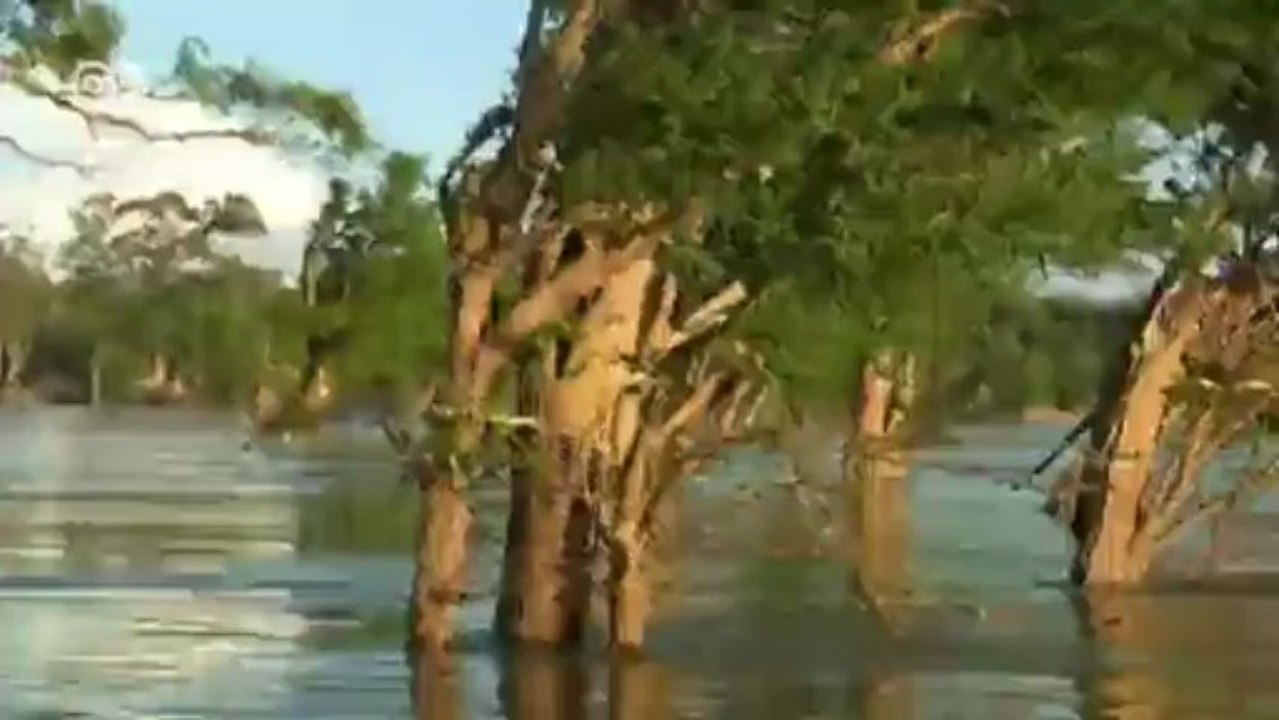 Mekong "im Stau" - Irrsinn oder Fortschritt? | Global 3000