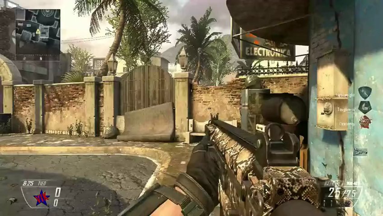 Black Ops 2 VIPER Camo on All Weapons - Viper Personalization Pack