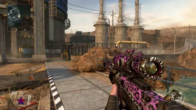 Black Ops 2 Party Rock Camo On All Weapons Party Rock Personalization Pack Video Dailymotion