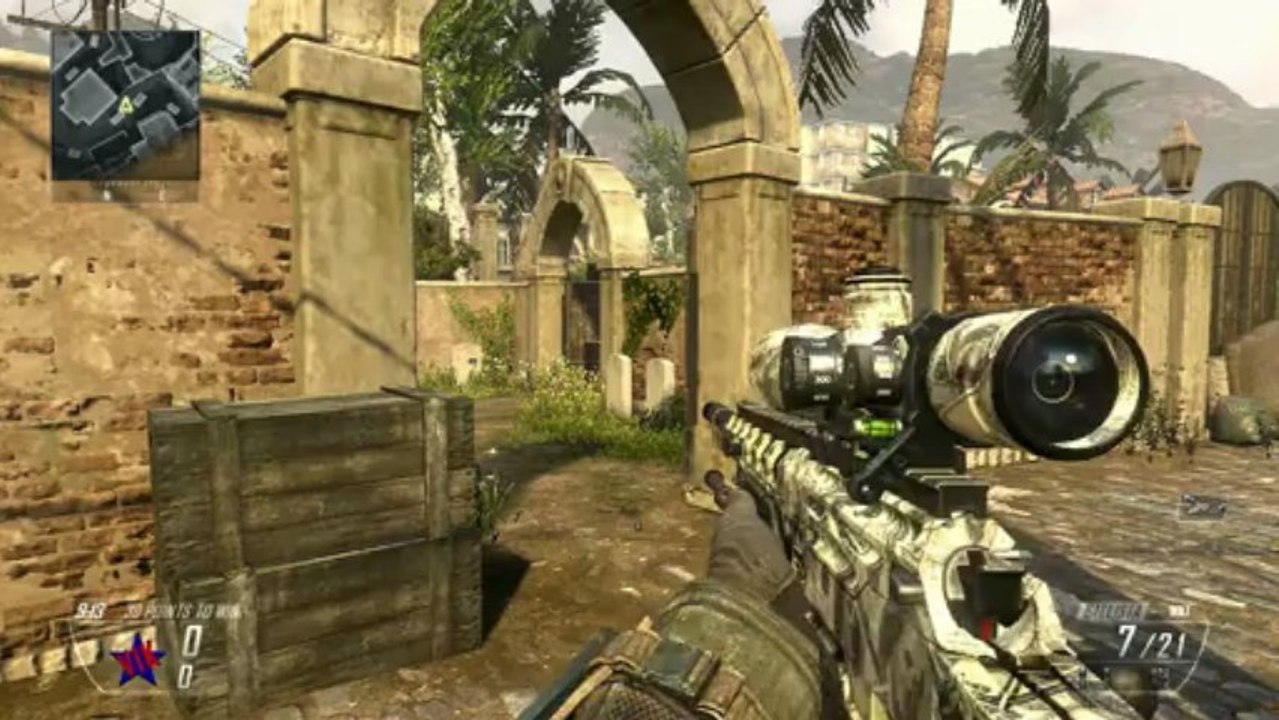 Black Ops 2 BENJAMINS Camo on All Weapons - Benjamins Personalization Pack