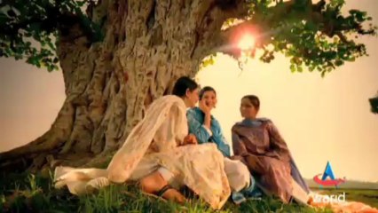 Warid Soil Analysis 🌱