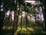 7 Yeryüzündeki ahenk ( Harun Yahya ) - YouTube